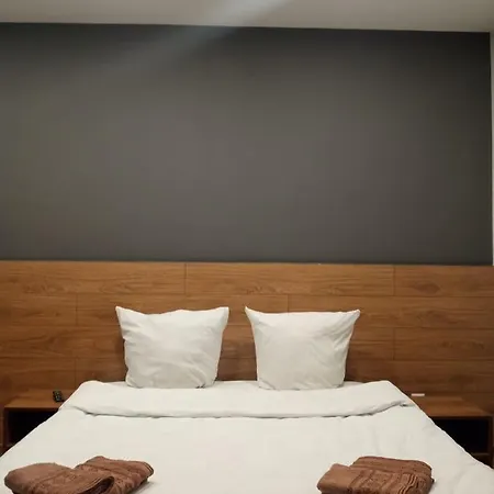 1-комнатная вип уровня посуточно в ужгороде. ул.другетов Διαμέρισμα *