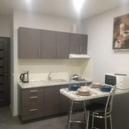 1-комнатная вип уровня посуточно в ужгороде. ул.другетов Apartment *