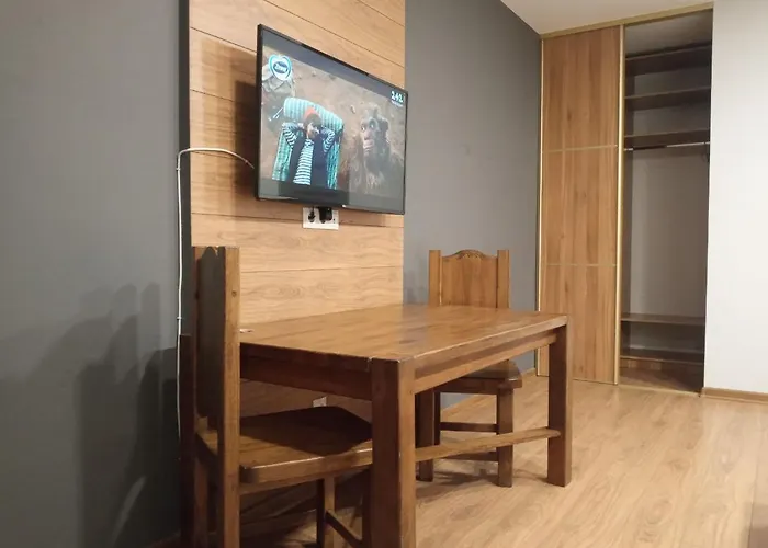 1-комнатная вип уровня посуточно в ужгороде. ул.другетов Apartment Uzhhorod