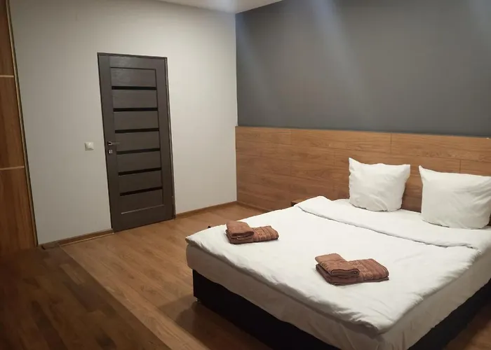 Apartment 1-комнатная вип уровня посуточно в ужгороде. ул.другетов Uzhhorod