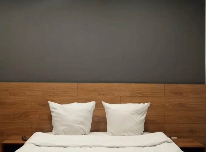 1-комнатная вип уровня посуточно в ужгороде. ул.другетов Apartment *