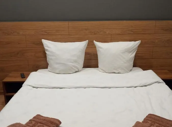 1-комнатная вип уровня посуточно в ужгороде. ул.другетов Apartment Uzhhorod