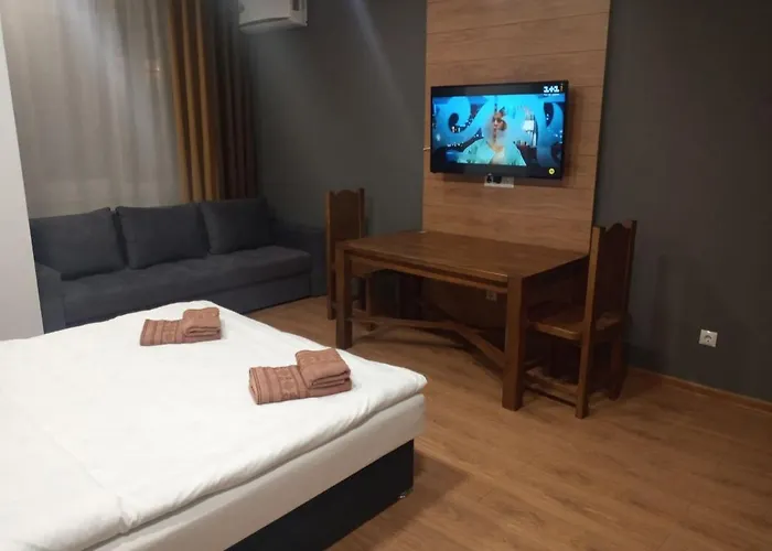 Apartment 1-комнатная вип уровня посуточно в ужгороде. ул.другетов Uzhhorod