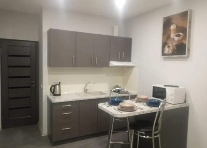 1-комнатная вип уровня посуточно в ужгороде. ул.другетов Apartment *