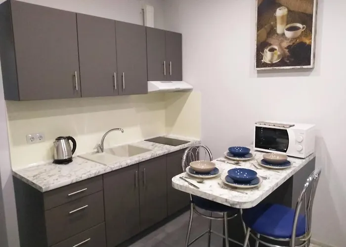 1-комнатная вип уровня посуточно в ужгороде. ул.другетов Apartment Uzhhorod