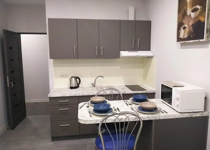 Apartment 1-комнатная вип уровня посуточно в ужгороде. ул.другетов Uzhhorod