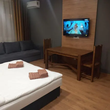 Apartament 1-комнатная вип уровня посуточно в ужгороде. ул.другетов Użhorod